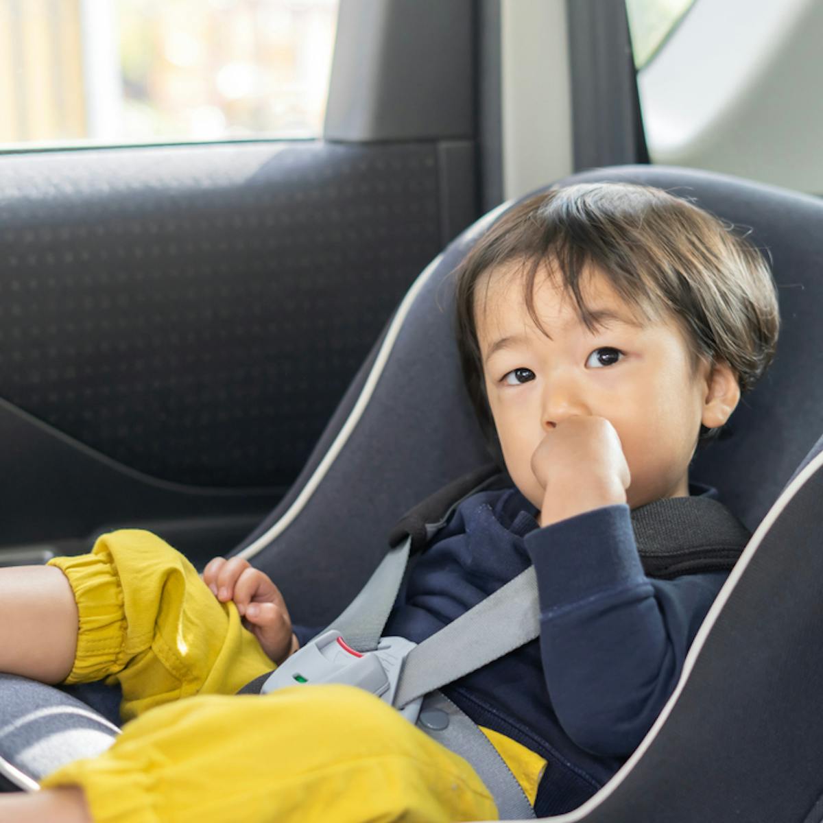 2歳から使えるジュニアシートのおすすめランキング 大きい子も装着できる人気商品とは セレクト 2歳から使えるジュニアシートのおすすめランキング 大きい子も装着できる人気商品とは セレクト