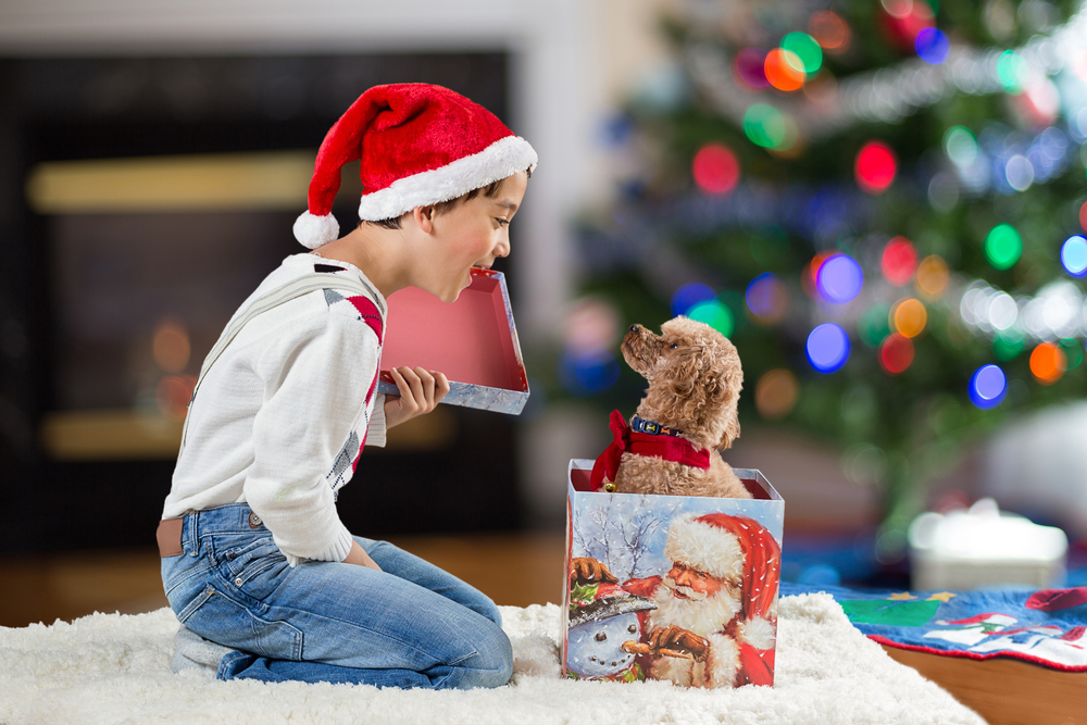 8歳の男の子におすすめのクリスマスプレゼント10選。小学2年生に人気のギフトとは？ | 最高のクリスマスプレゼント2024