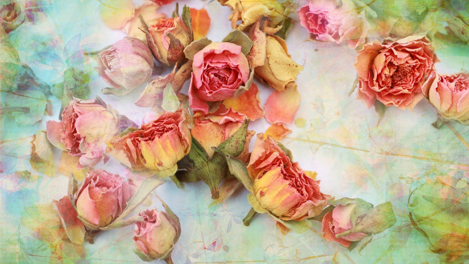 ドライフラワーのおすすめプレゼント10選 女性が喜ぶフラワーギフトとは Smartlog ドライフラワーのおすすめプレゼント10選 女性が喜ぶフラワーギフトとは Smartlog