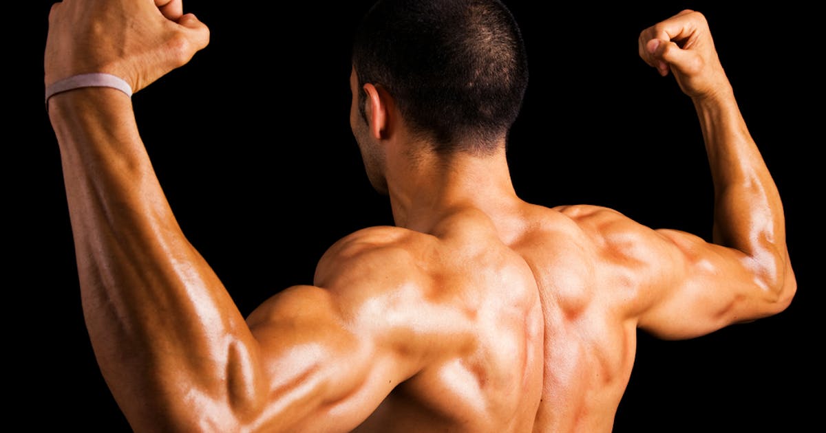 三角筋後部の筋トレメニュー 肩の後ろ筋肉 リアデルト の鍛え方とは Smartlog 三角筋後部の筋トレメニュー 肩の後ろ筋肉 リアデルト の鍛え方とは Smartlog