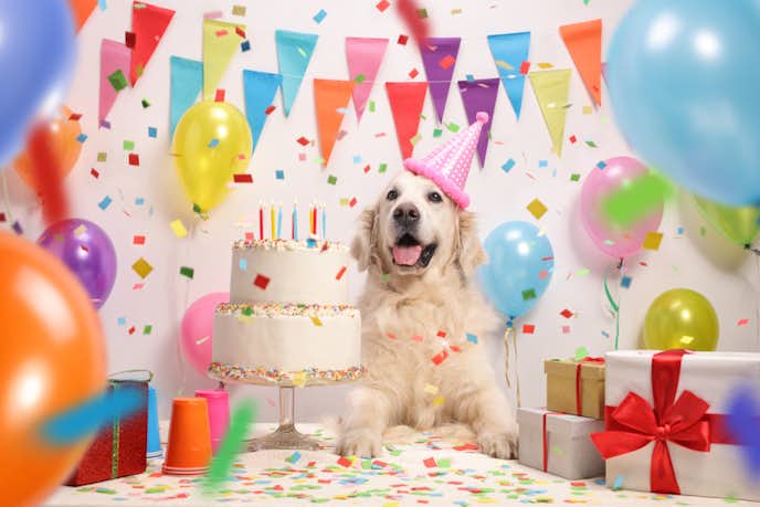 犬好きな人が喜ぶ誕生日プレゼント 愛犬家が貰って嬉しい人気ギフト特集 Smartlog