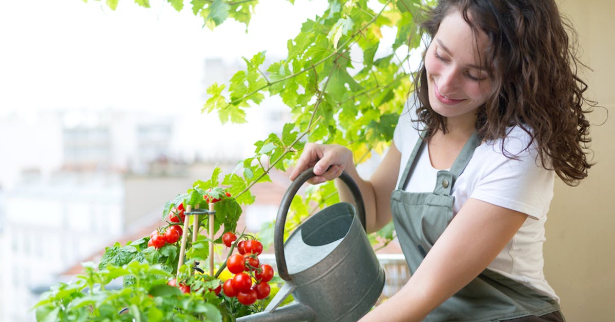 Spqti8soolop7m Spqti8soolop7m