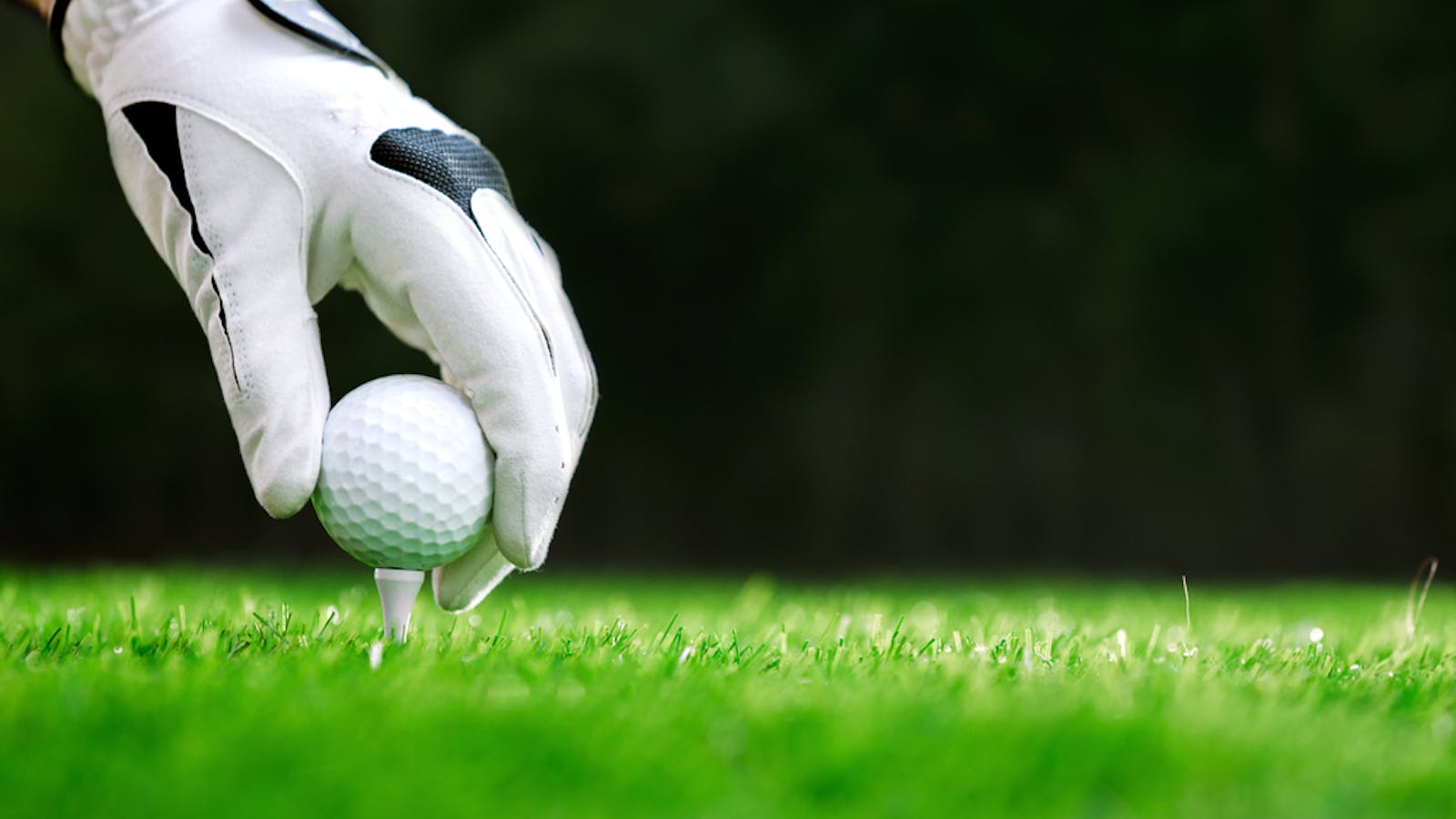 ゴルフグローブのおすすめ選 スイングが安定する人気手袋を紹介 セレクト ゴルフグローブのおすすめ選 スイングが安定する人気手袋を紹介 セレクト