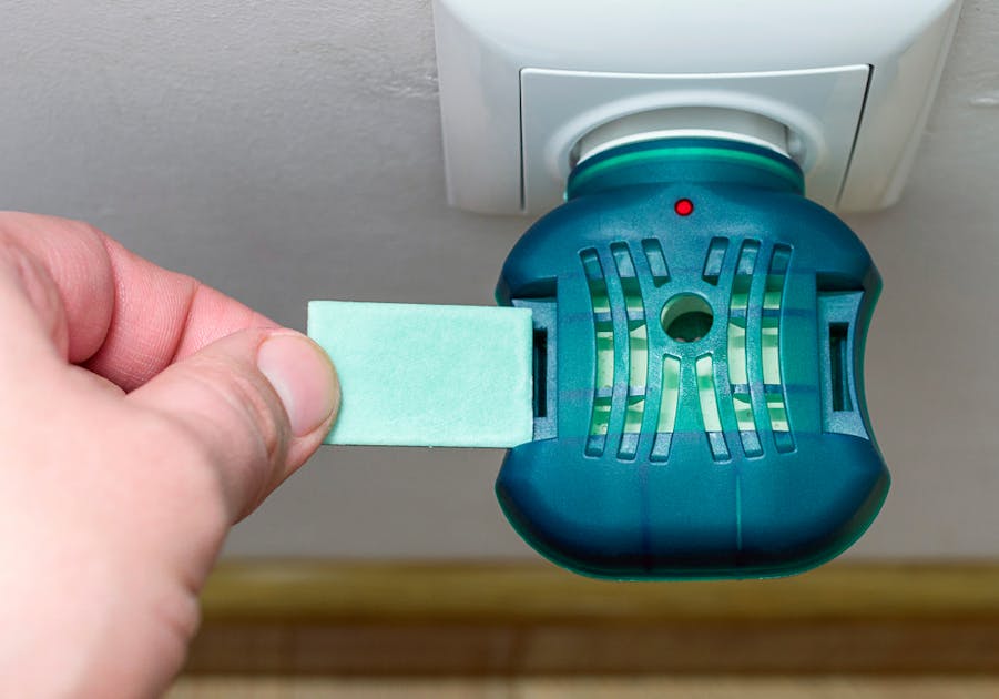 玄関用 虫除けの人気おすすめ特集 屋外から害虫の侵入を防ぐ最強アイテムとは Smartlog