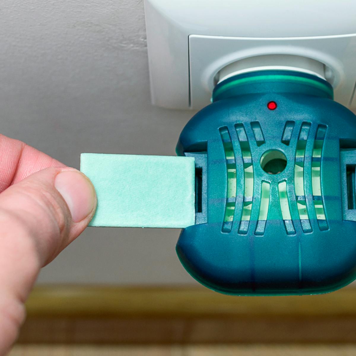 玄関用 虫除けの人気おすすめ特集 屋外から害虫の侵入を防ぐ最強アイテムとは セレクト 玄関用 虫除けの人気おすすめ特集 屋外から害虫の侵入を防ぐ最強アイテムとは セレクト