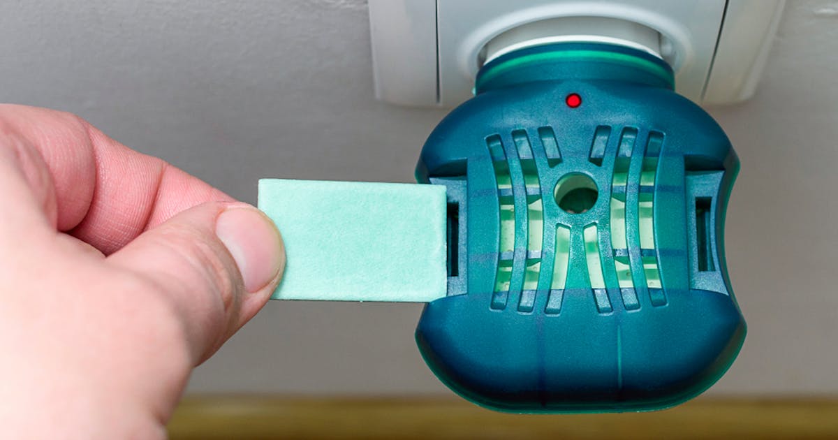 玄関用 虫除けの人気おすすめ特集 屋外から害虫の侵入を防ぐ最強アイテムとは Smartlog 玄関用 虫除けの人気おすすめ特集 屋外から害虫の侵入を防ぐ最強アイテムとは Smartlog