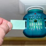 玄関用虫除けのおすすめ26選!屋外から家へ...