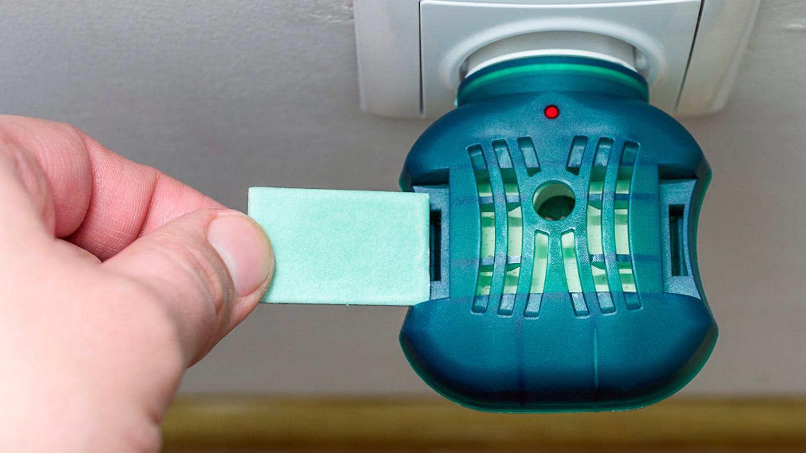 玄関用 虫除けの人気おすすめ特集 屋外から害虫の侵入を防ぐ最強アイテムとは セレクト 玄関用 虫除けの人気おすすめ特集 屋外から害虫の侵入を防ぐ最強アイテムとは セレクト