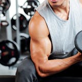 筋トレで力が入らない原因。筋肉の限界や横紋...