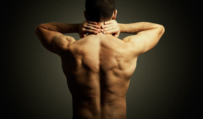デッドリフトで筋肉痛になりやすい筋肉の部位1. 脊柱起立筋