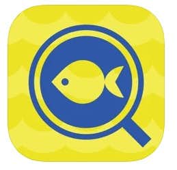 魚図鑑アプリのおすすめ8選 画像認識で名前が分かる人気アプリも大公開 Smartlog
