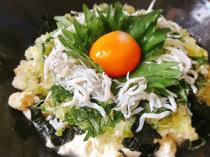 お腹いっぱい食べたい時におすすめのダイエットレシピ_ネギ塩タレのしらす豆腐丼.jpg
