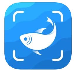 魚図鑑アプリのおすすめ8選 画像認識で名前が分かる人気アプリも大公開 セレクト By Smartlog