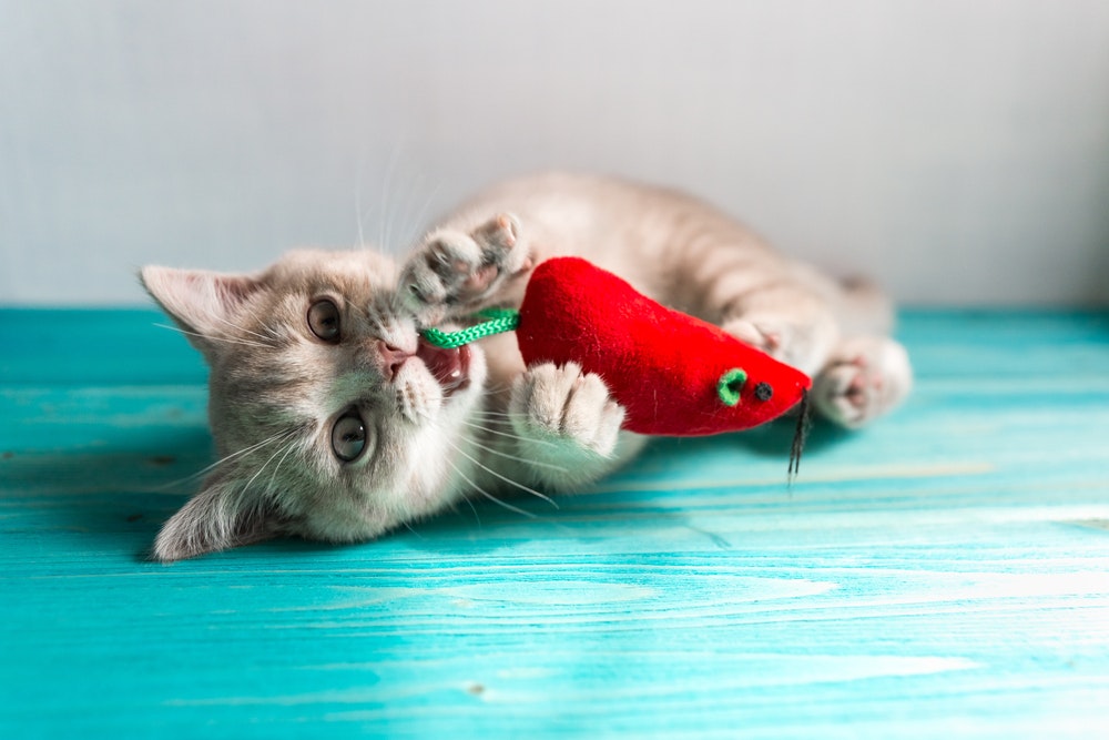猫おもちゃ cat☆kicker 魚 30cm2個セット 半円柄 けりけりぐるみ