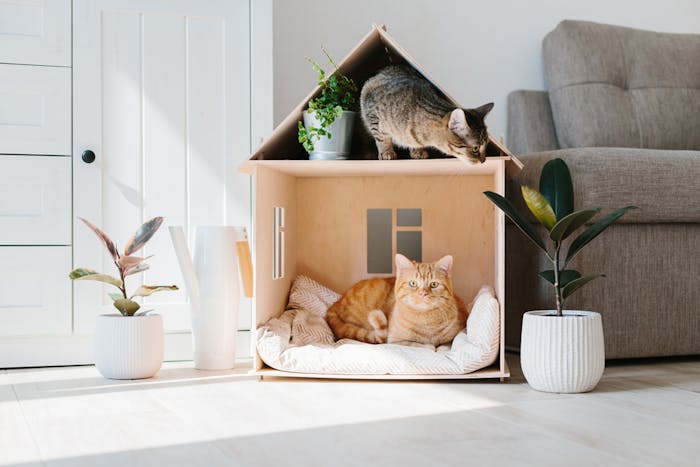 猫用ハウスのおすすめ15選 おしゃれで猫が気に入る人気キャットハウスを紹介 Smartlog