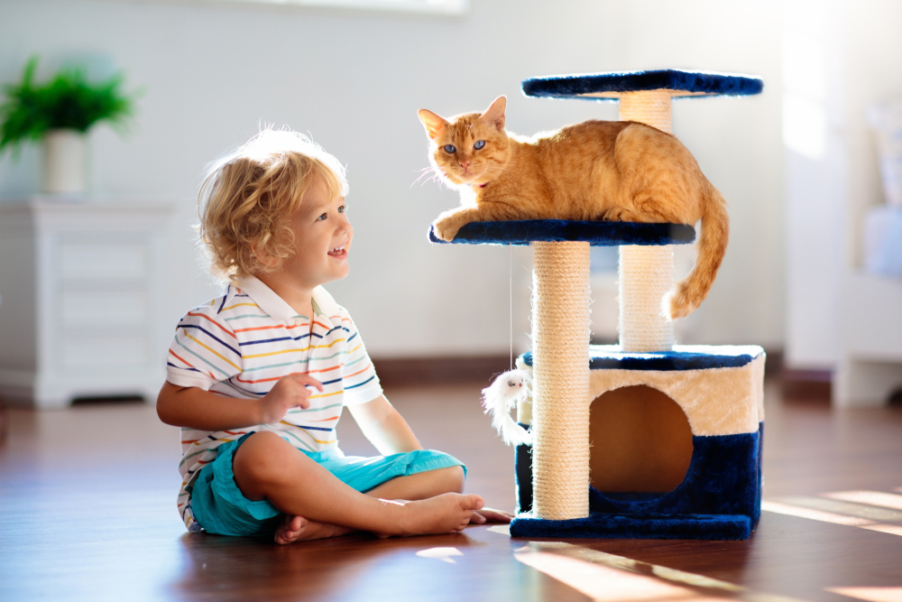 木製キャットタワーのおすすめ集｜おしゃれな人気の猫タワーを徹底