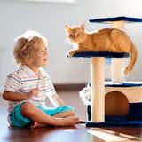 木製キャットタワーのおすすめ集｜おしゃれな人気の猫タワーを徹底ガイド