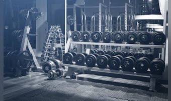 筋トレマシン16種類を解説。トレー...