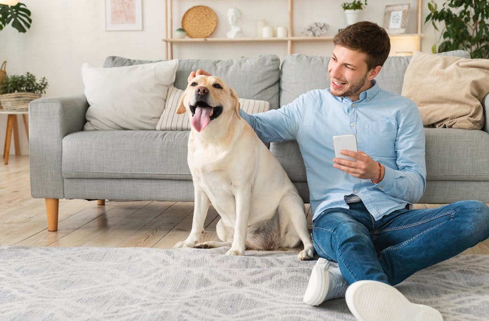 動物が好きな人の特徴や性格とは 動物好きに悪い人がいないと言われる理由を解説 Smartlog 動物が好きな人の特徴や性格とは 動物好きに悪い人がいないと言われる理由を解説 Smartlog