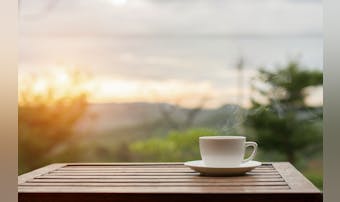 ロールテーブルおすすめ16選|キャ...