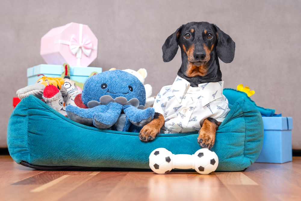 犬用おもちゃのおすすめ15選｜丈夫で壊れない人気のペット玩具を大公開