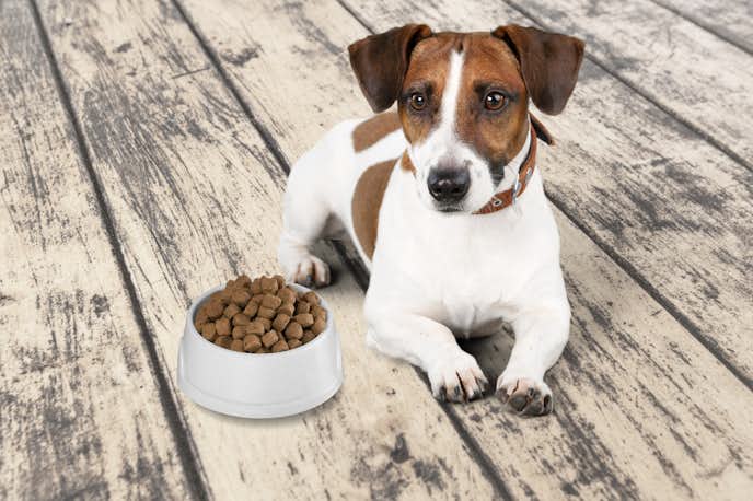 涙やけ対策ドッグフードのおすすめ集 目元の悩みに効果的な人気フードを大公開 Smartlog 涙やけ対策ドッグフードのおすすめ集 目元の悩みに効果的な人気フードを大公開 Smartlog