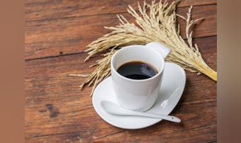 玄米コーヒーのおすすめ集｜健康的で美味しい人気ブラックジンガーをご紹介！