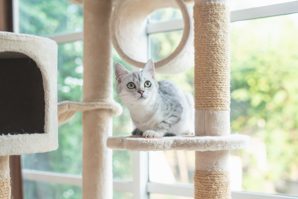 多機能 手編み猫タワーつ めとぎ キャットタワー ねこ ベッド 組み立て式 転倒防止 運動不足 室内用 ペット用品 猫ハウス 
