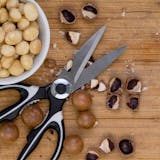 キッチンバサミのおすすめ集|食材を切りやす...
