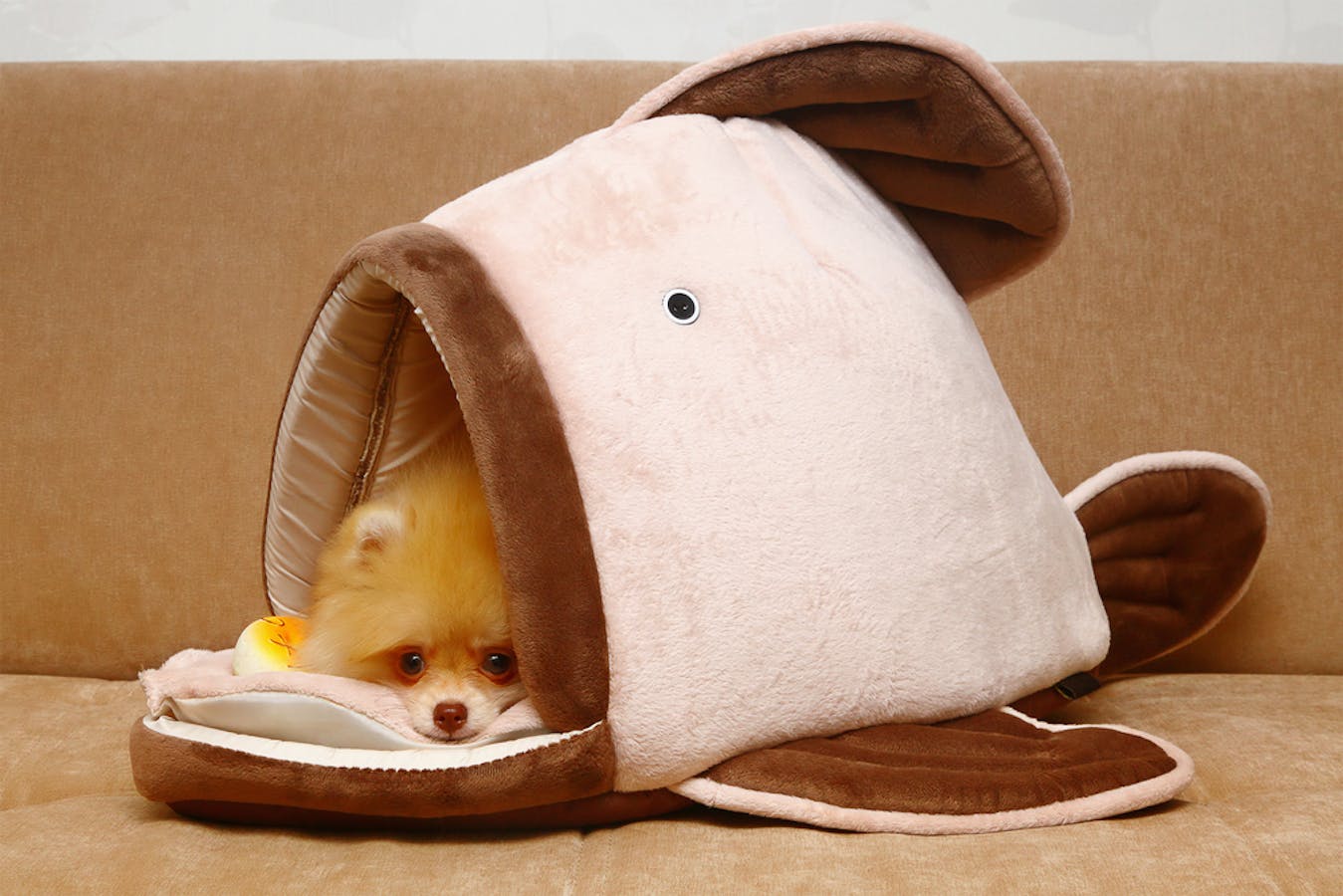 おしゃれな犬小屋のおすすめ集 室内向けのかわいいドッグハウスを厳選 セレクト