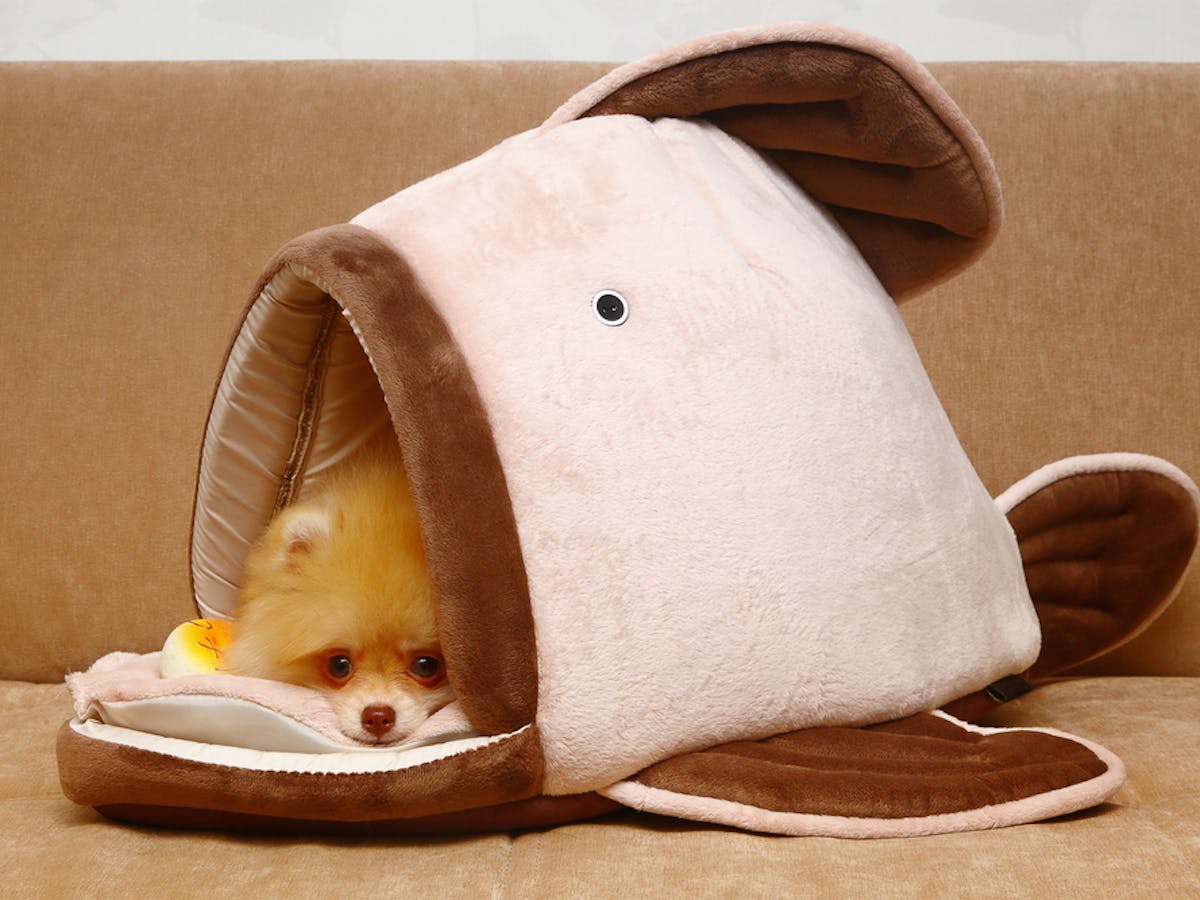 おしゃれな犬小屋のおすすめ集 室内向けのかわいいドッグハウスを厳選 セレクト おしゃれな犬小屋のおすすめ集 室内向けのかわいいドッグハウスを厳選 セレクト