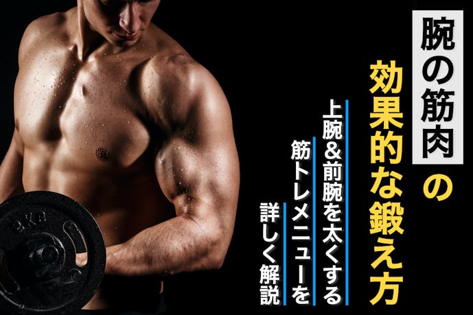 腕の筋肉の効果的な鍛え方 上腕 前腕を太くする筋トレメニューとは Smartlog 腕の筋肉の効果的な鍛え方 上腕 前腕を太くする筋トレメニューとは Smartlog