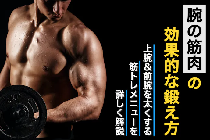 上腕 前腕の効果的な鍛え方 短期間で腕を太くする筋トレメニューとは Smartlogボディメイク 上腕 前腕の効果的な鍛え方 短期間で腕を太くする筋トレメニューとは Smartlogボディメイク