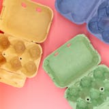 卵ケースのおすすめ10選|冷蔵庫用&アウト...