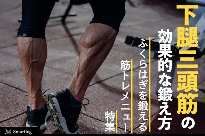【ふくらはぎの筋トレ】下腿三頭筋の鍛え方｜効果的に鍛えるトレーニングメニューとは