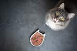 猫用食器のおすすめ12選｜おしゃれでかわいい人気の餌入れを大公開