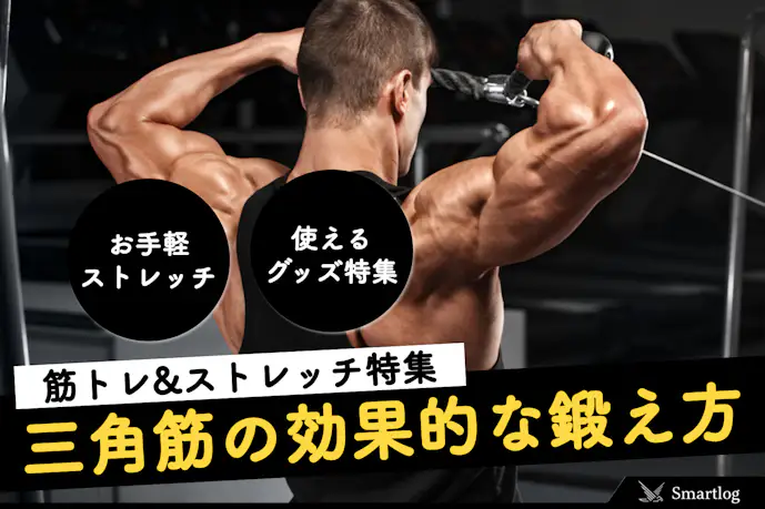 【三角筋の筋トレ】肩周りの筋肉の鍛え方。効果的なトレーニング特集