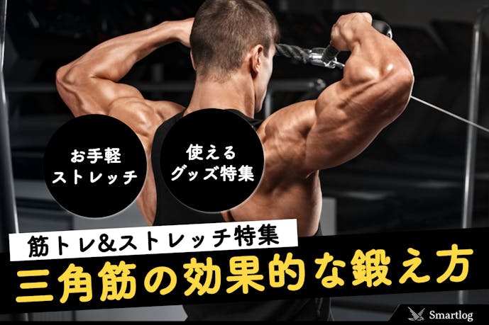 【三角筋の筋トレ】肩周りの筋肉の鍛え方｜効果的なトレーニング特集