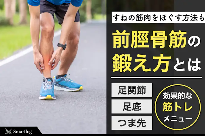 【筋トレ】前脛骨筋の効果的な鍛え方。すねの筋肉をほぐすストレッチまで解説