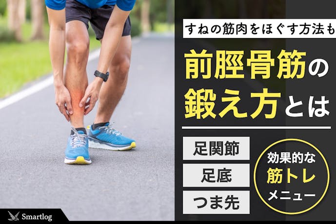 【筋トレ】前脛骨筋の効果的な鍛え方｜すねの筋肉をほぐすストレッチまで解説