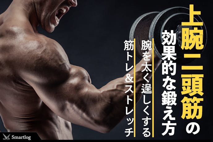 上腕二頭筋の効果的な鍛え方 腕を太くする正しい筋トレメニュー特集 Smartlog