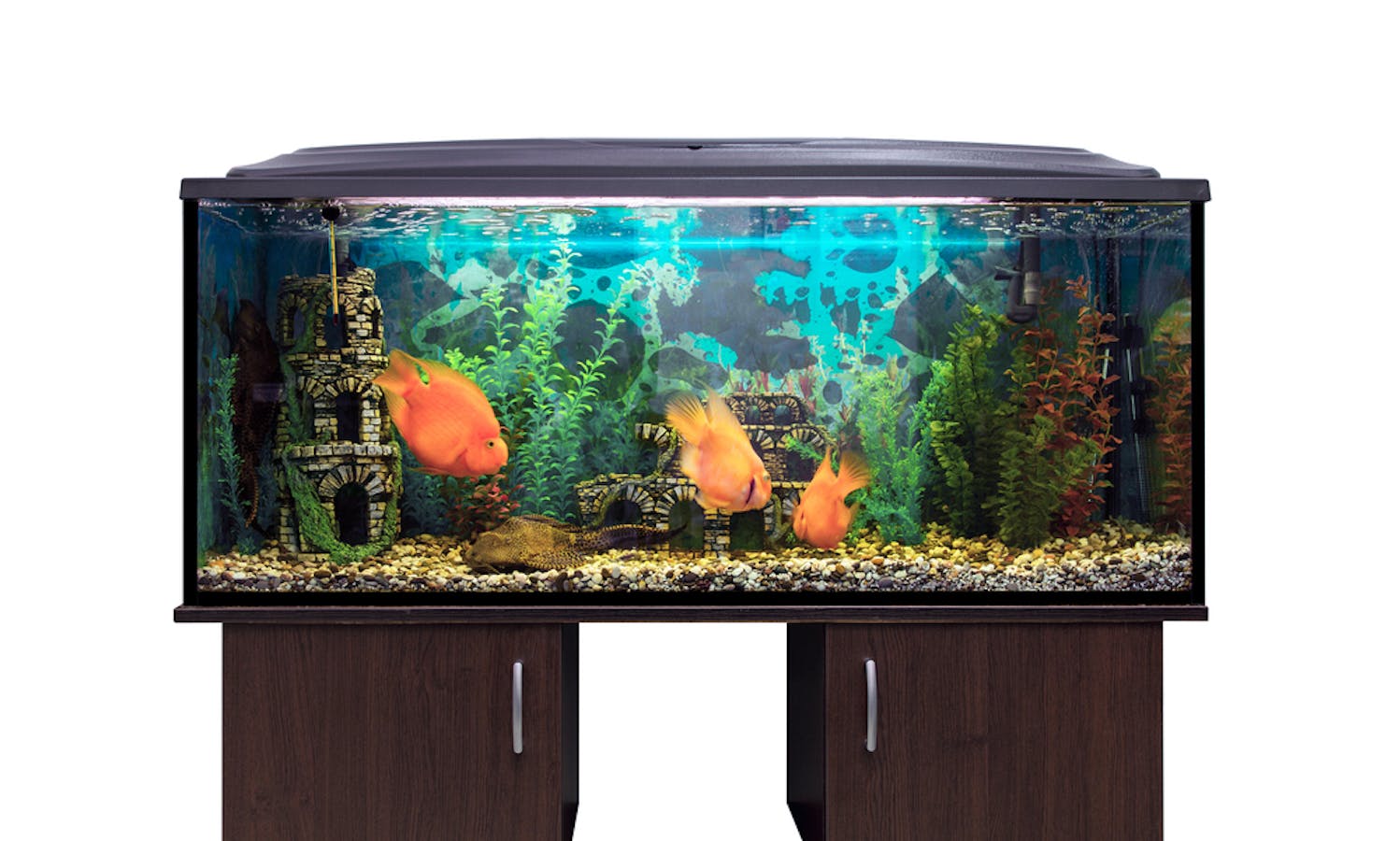 shutterstock_170277380.jpg?w=  