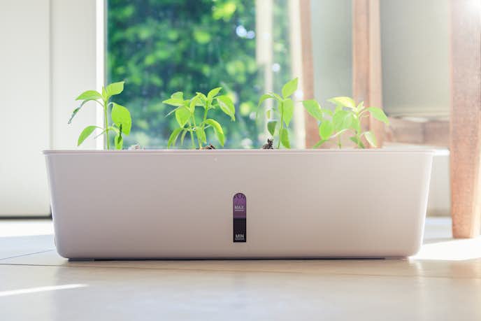水耕栽培キットのおすすめ15選 土を使わずに家庭菜園を楽しめる人気アイテムとは Smartlog 水耕栽培キットのおすすめ15選 土を使わずに家庭菜園を楽しめる人気アイテムとは Smartlog
