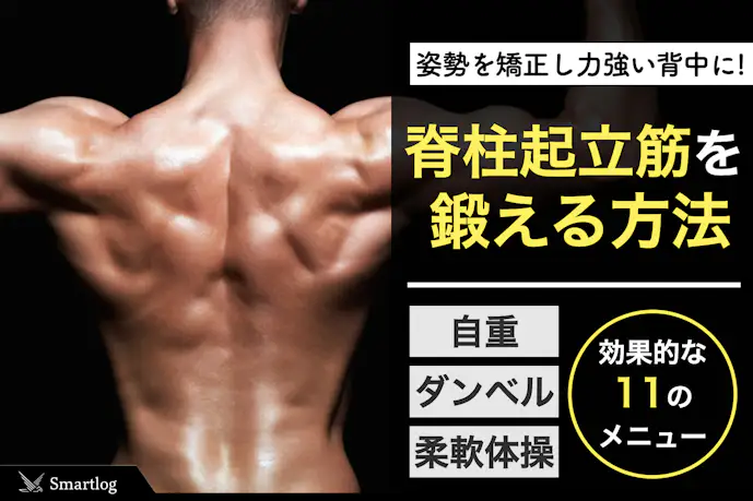 脊柱起立筋の筋トレ＆ストレッチ。姿勢を矯正する背中の筋肉の鍛え方とは？