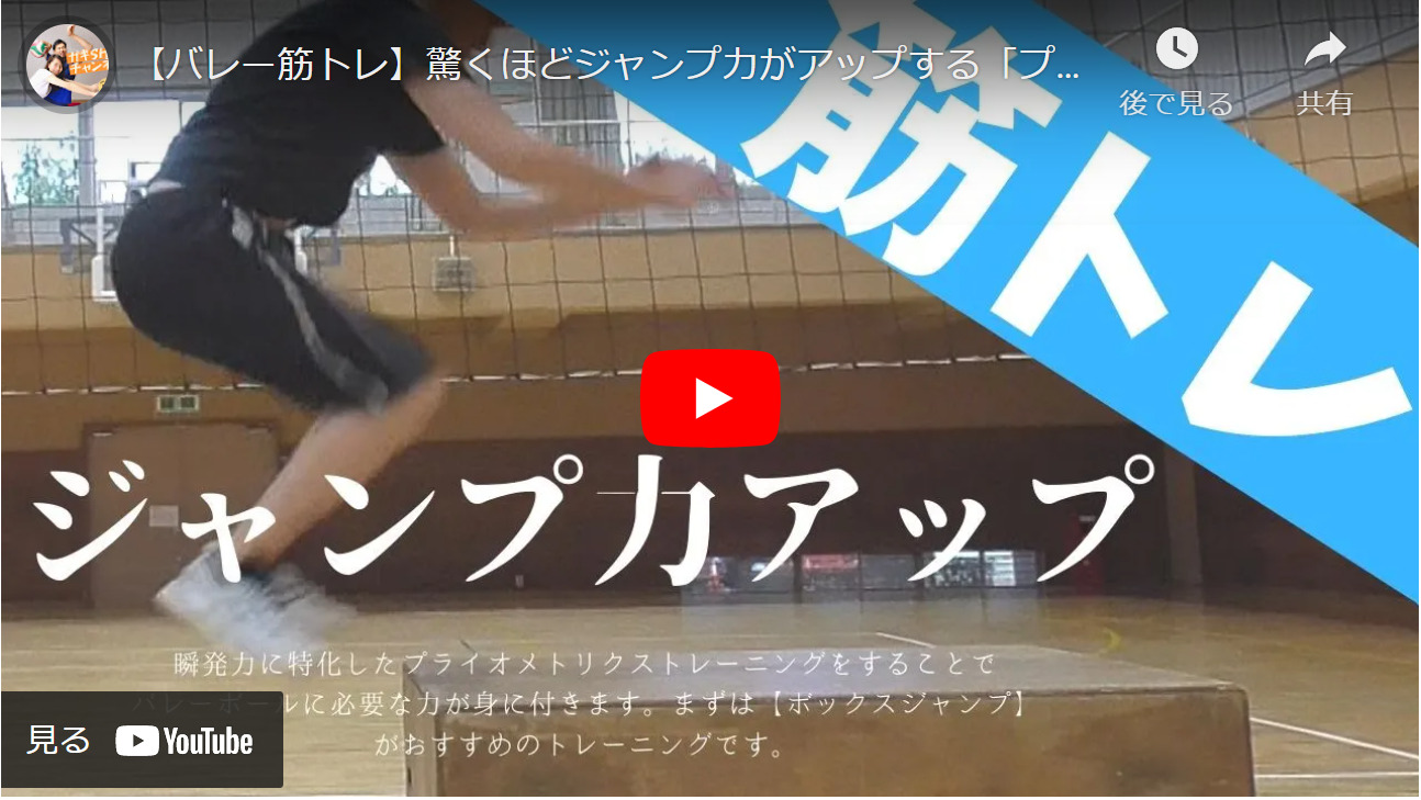 バレーボール】ジャンプ力UPに効果的なトレーニング｜打点を上げる 