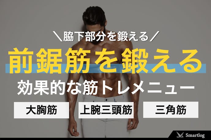 筋トレ 前鋸筋の正しい鍛え方 ストレッチ トレーニングメニューを解説 Smartlog 筋トレ 前鋸筋の正しい鍛え方 ストレッチ トレーニングメニューを解説 Smartlog