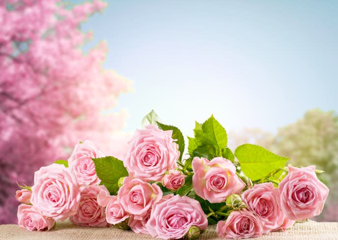 花言葉 幸せ 幸福を意味する 27本の花 贈る相手の幸せを願う花一覧とは Smartlog