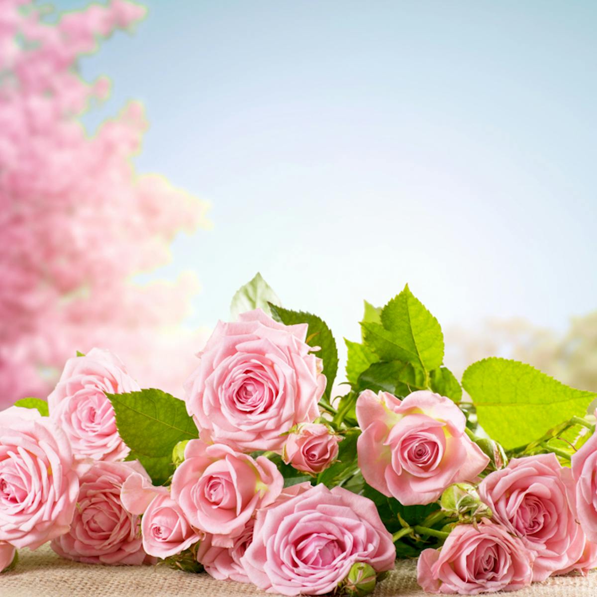花言葉 幸せ 幸福を意味する 27本の花 贈る相手の幸せを願う花一覧とは Smartlog 花言葉 幸せ 幸福を意味する 27本の花 贈る相手の幸せを願う花一覧とは Smartlog