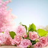 【花言葉】幸せ・幸福を意味する“27本の花...