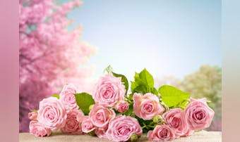 【花言葉】幸せ・幸福を意味する“27本の花”｜贈る相手の幸せを願う花一覧とは？